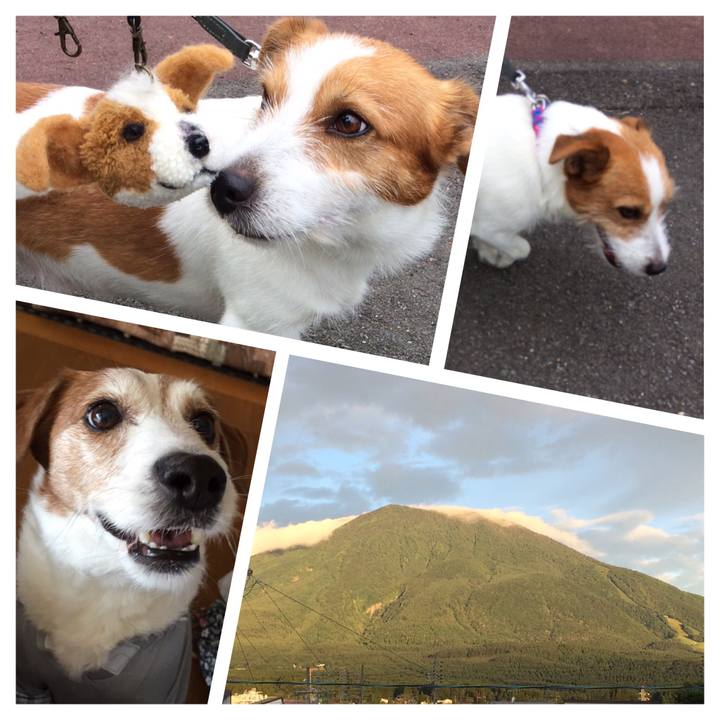 Ef5bee66 4087 4ac4 be77 1540a1cbc1f0