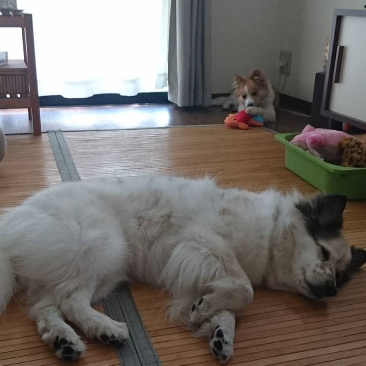 Ef5c403d 439d 490a 8b51 a5644cdf0b3d