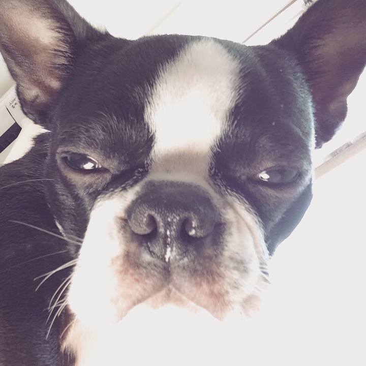 Ef5c4d8d a237 4c0c ad4f 8e2edd22cae8