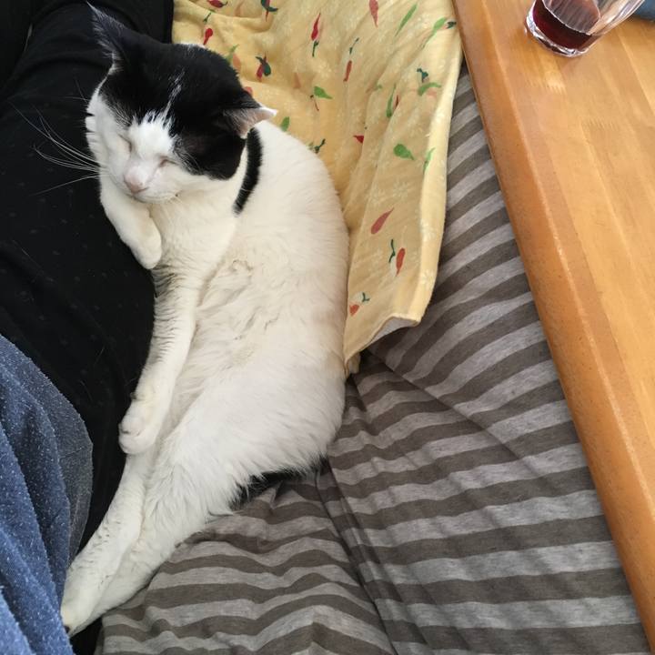 Ef5c4e34 d990 4f0f acc7 b7b88c790e0e