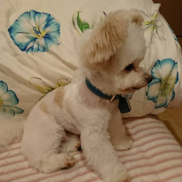 Ef5c5487 629e 4530 af2b 0c464780e16a