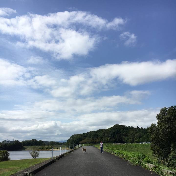 Ef5c8c31 2cf6 4ccf 8188 3bd321490675