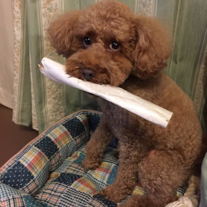 Ef5cbb47 a3cc 4b68 bb6e 7b9edbf1c983