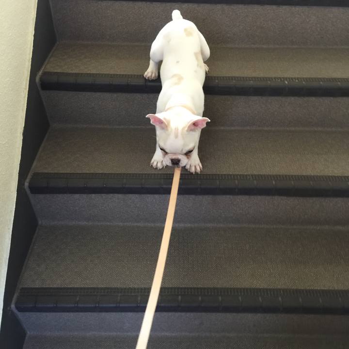 Ef5cd443 9aaf 4af9 90d9 30591bfd3fe5