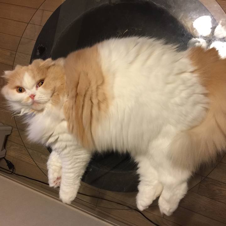 Ef5ce4f2 dbfc 4431 80df 6b926312c174