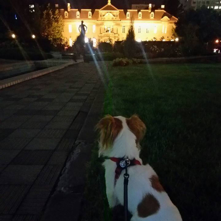 Ef5cffc4 ae5b 4f9d 864f 568668ffae9d