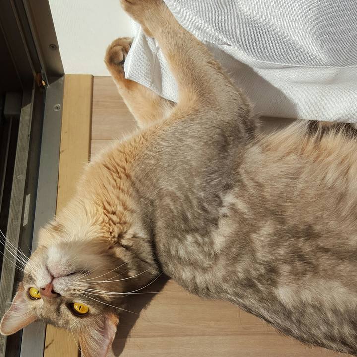 Ef5d36df 011a 419c aac8 49c4497c2925