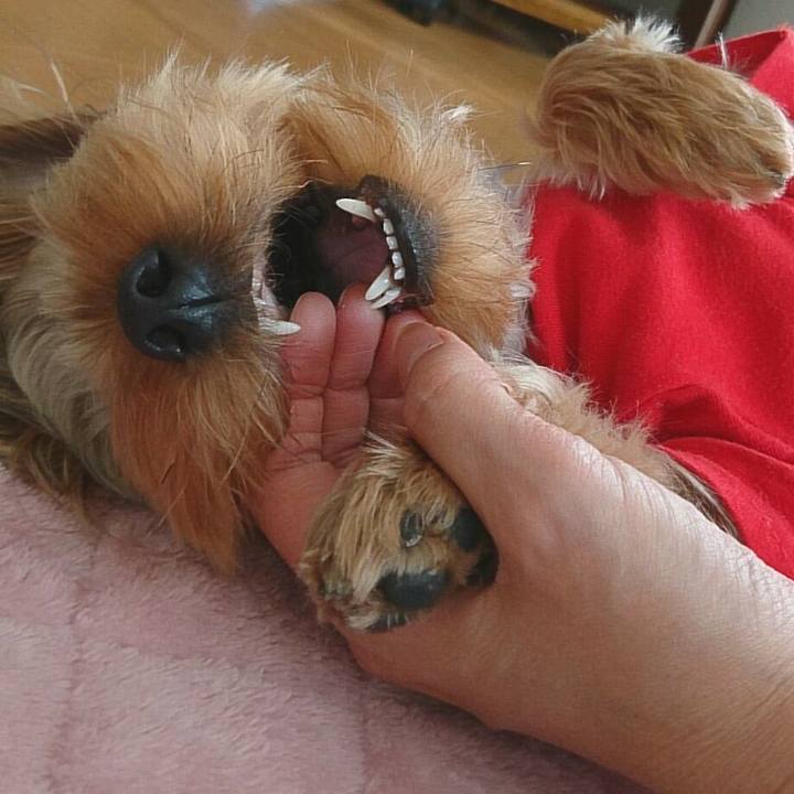 Ef5d3c69 80b5 4d84 a679 a1bfb11bc92e