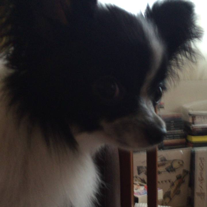 Ef5d6152 d436 44bf 9237 6765df575768