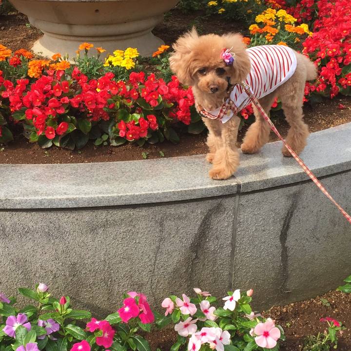 Ef5d6f4d 10d4 4b1c aa54 63cf88014d72