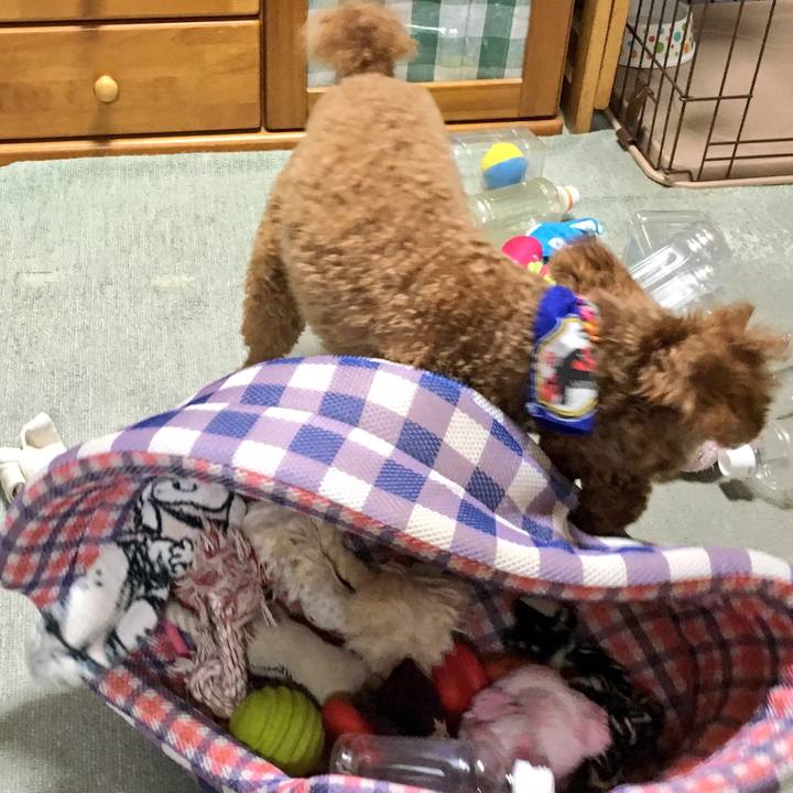 Ef5e15f0 562c 4a2e b2b1 92ad5931ce2b