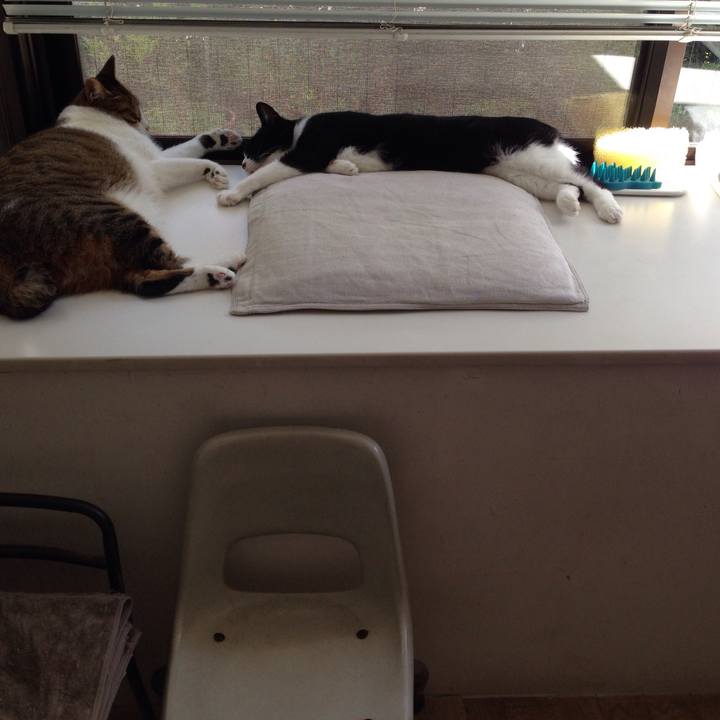 Ef5e5ec6 5b08 440a a5b4 768e6ed2885c