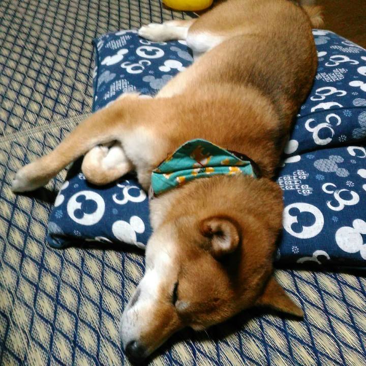 Ef5ed576 5abf 4843 b83f 9ac4d195f6dc