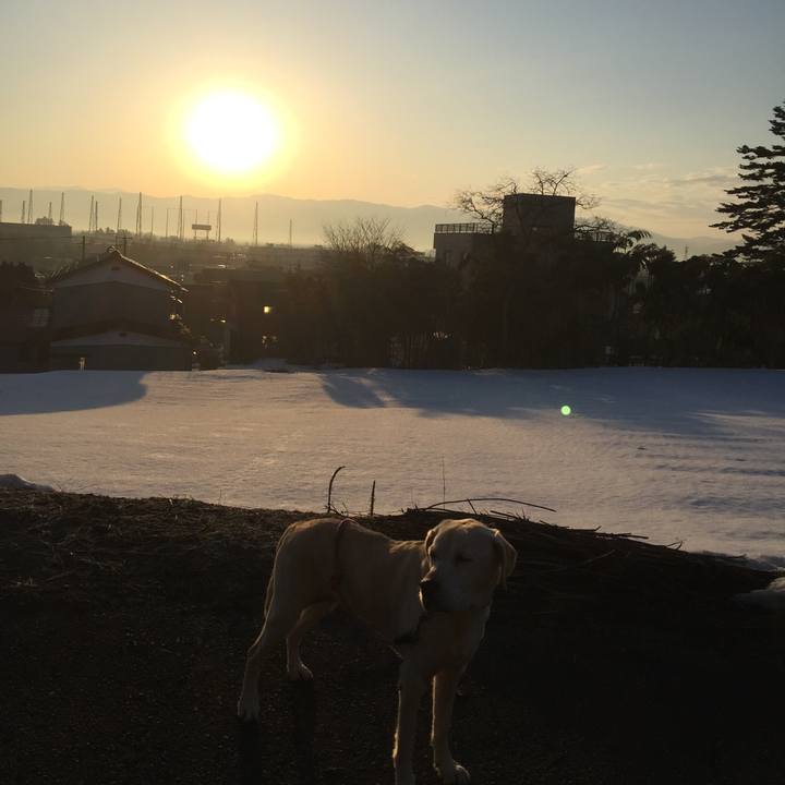 Ef5f500d aa37 4da3 bab0 a40a36591424