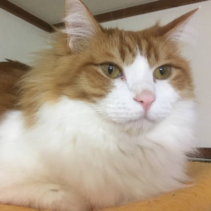 Ef5fd1c5 dc5d 45df 93c5 022e4381782f