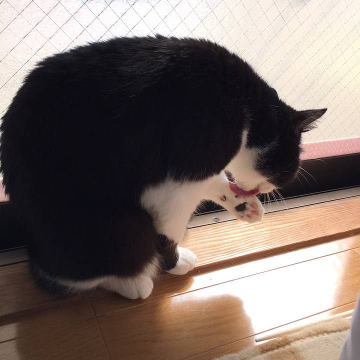 Ef602cb2 df16 453f 970b 324d56b59045