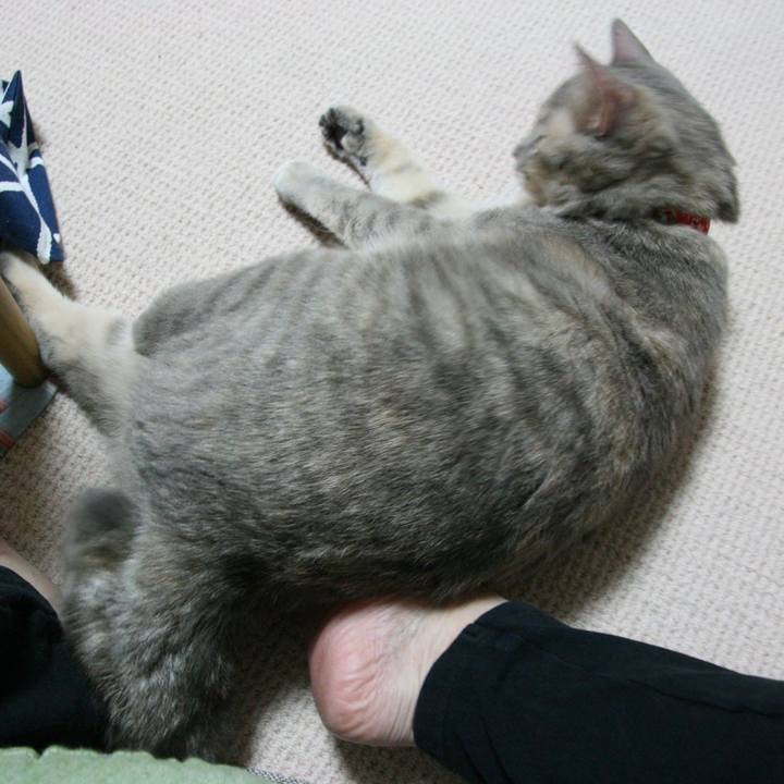 Ef609412 2a1e 4f8a 9f01 46fbc29f747a