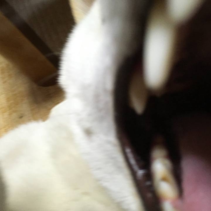 Ef60a389 f8f8 4aa6 8922 e27efcb95051