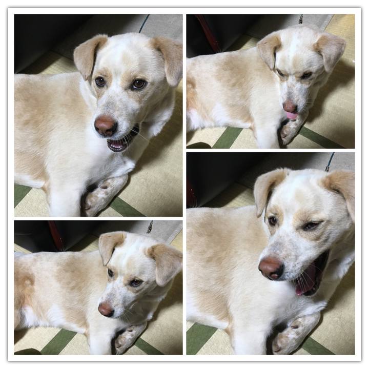 Ef60b612 44eb 4ddf 951e 7b522eb66f7c