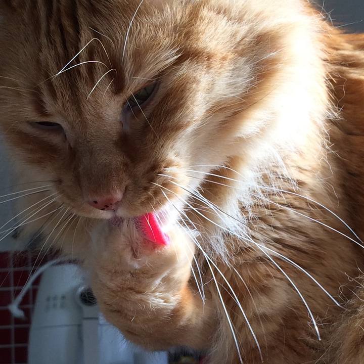 Ef60c6d4 9553 4312 a355 d14295ed27ec