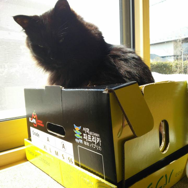 Ef60dcef 0091 4696 94d2 2a24a13e7709