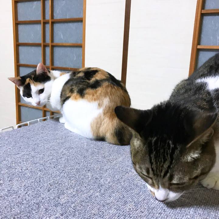 Ef619773 6e21 4080 8a9f 0bd178205c0c