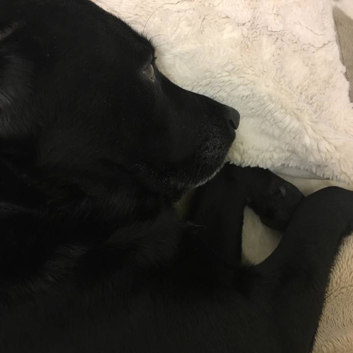 Ef61ad93 dabf 409b a397 ec47bf1df779