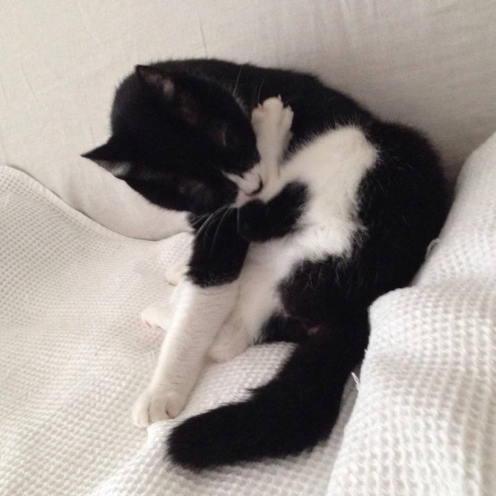 Ef61b4c7 225e 4c83 af7e e20ce44d5991