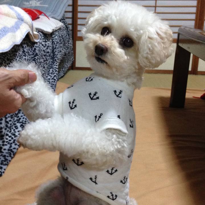 Ef62533f eacb 419b b33f 126138c2fa17