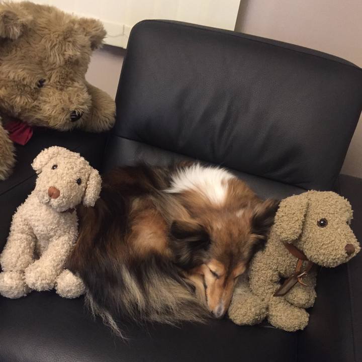 Ef628bed e3b1 4ff7 befb ccd914ff2a34