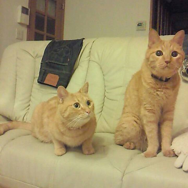 Ef62af02 c5d1 4832 821f a15758d1f11b