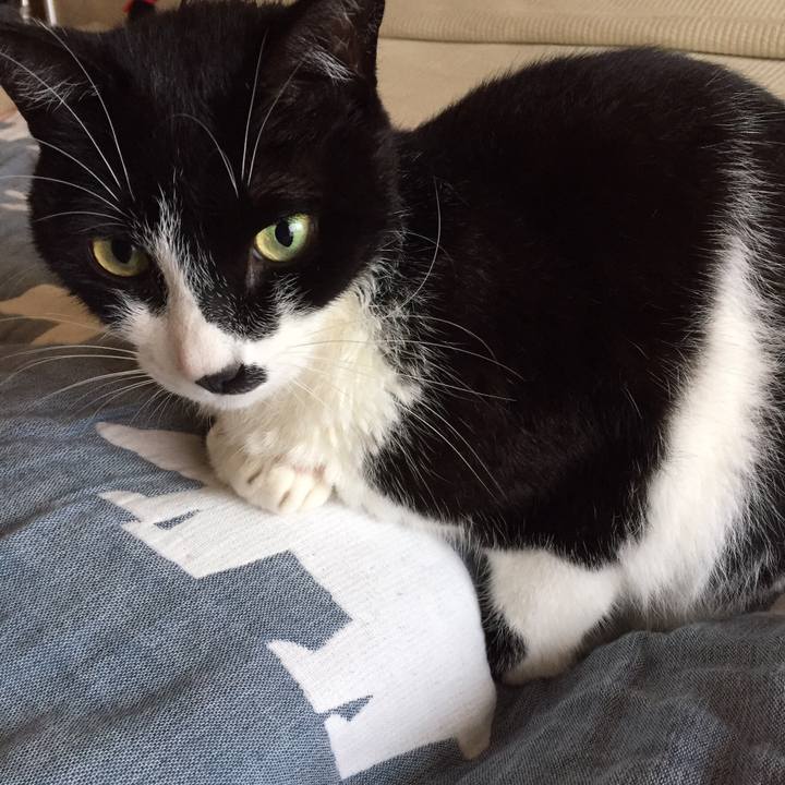 Ef63e0e4 7c1c 4642 be66 f836476f3563