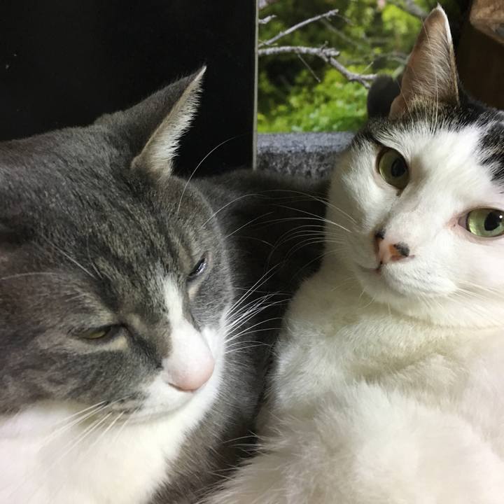 Ef640ee2 c4ea 40a0 8336 4da8a6fddd8b