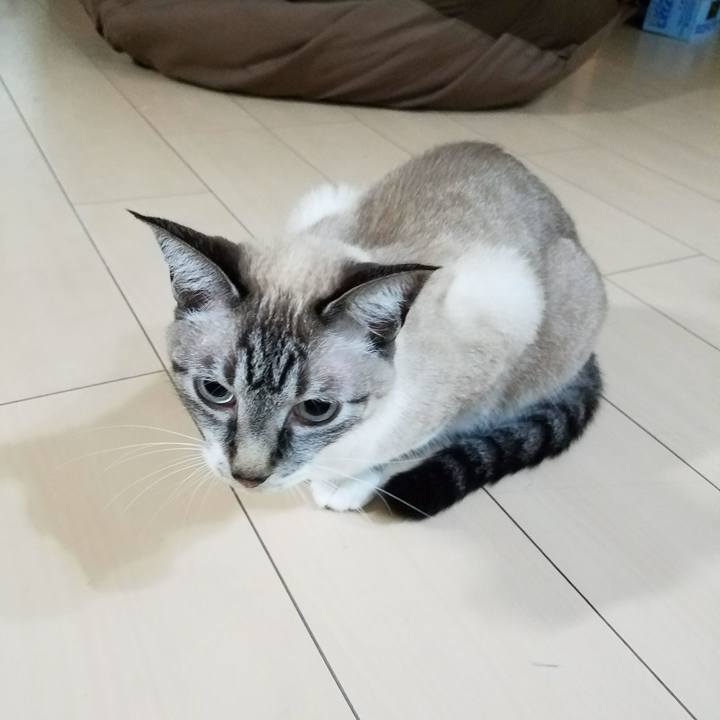 Ef64b0d2 aad4 4d35 9f32 58c8af7e4d72