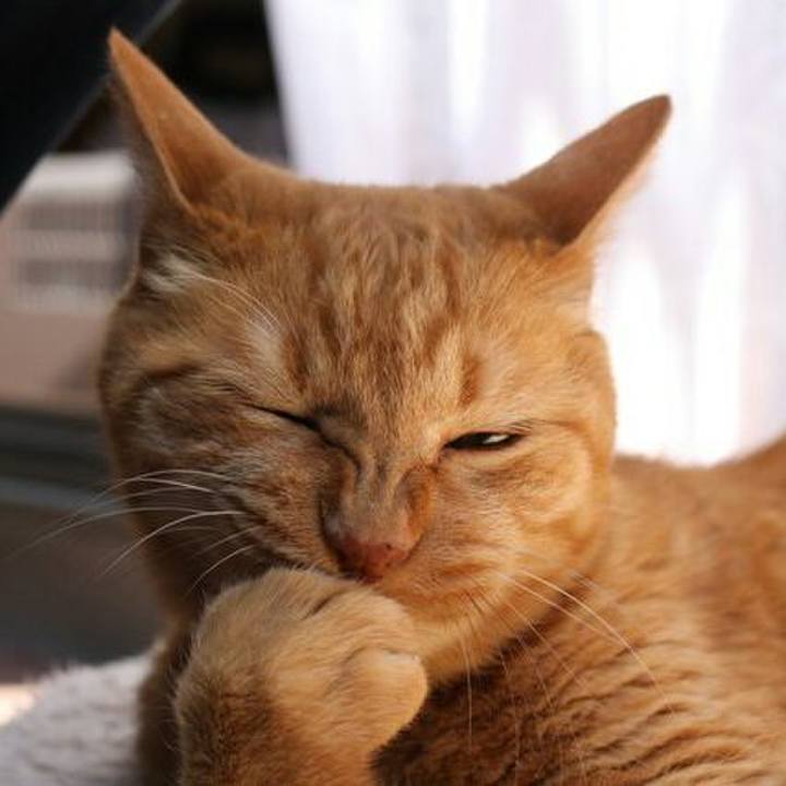 Ef654c7b f193 411d abe8 9d050bbebd1e