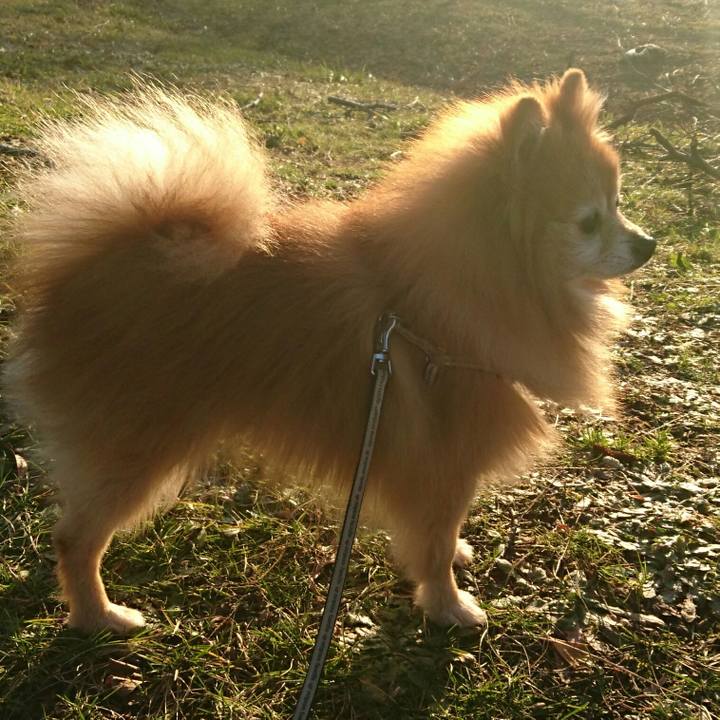 Ef65b7da 7d58 4725 aaed 6a46996dd4bc