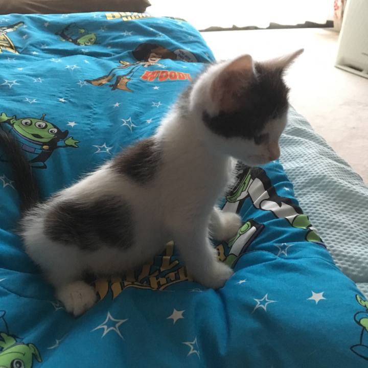 Ef65bf39 19ff 4578 9191 a63ed7075f68