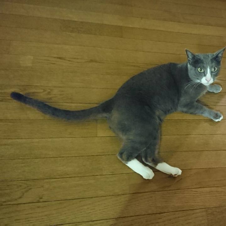 Ef6605d6 061c 4a1e a637 6b5e6978cbe2