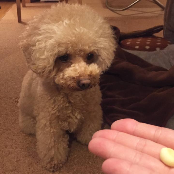 Ef662f45 4c0d 47ea 8eef 4d09c58aa5d3