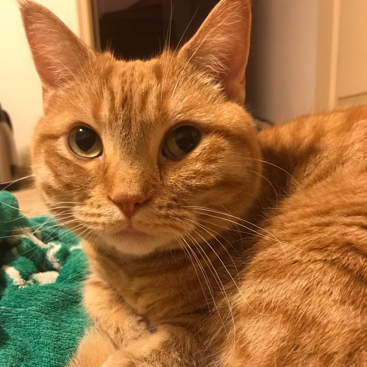 Ef6691fb 102f 43d2 a18c ff6829ec1ddc