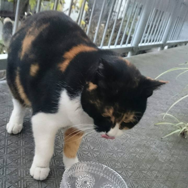 Ef6692e1 345e 4dba ac7a 0484babd9682