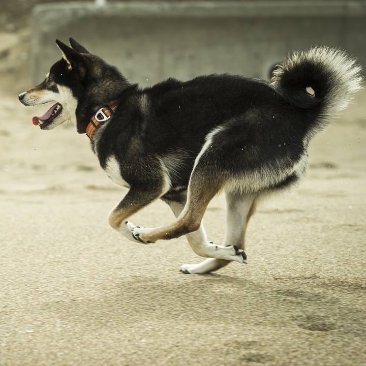 Ef66ca13 11b6 4ddd 9cc4 d2967d8afa1a