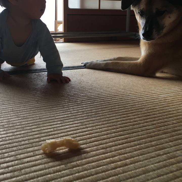 Ef66d338 ec44 43fd 819b cd46aa5e5dd7