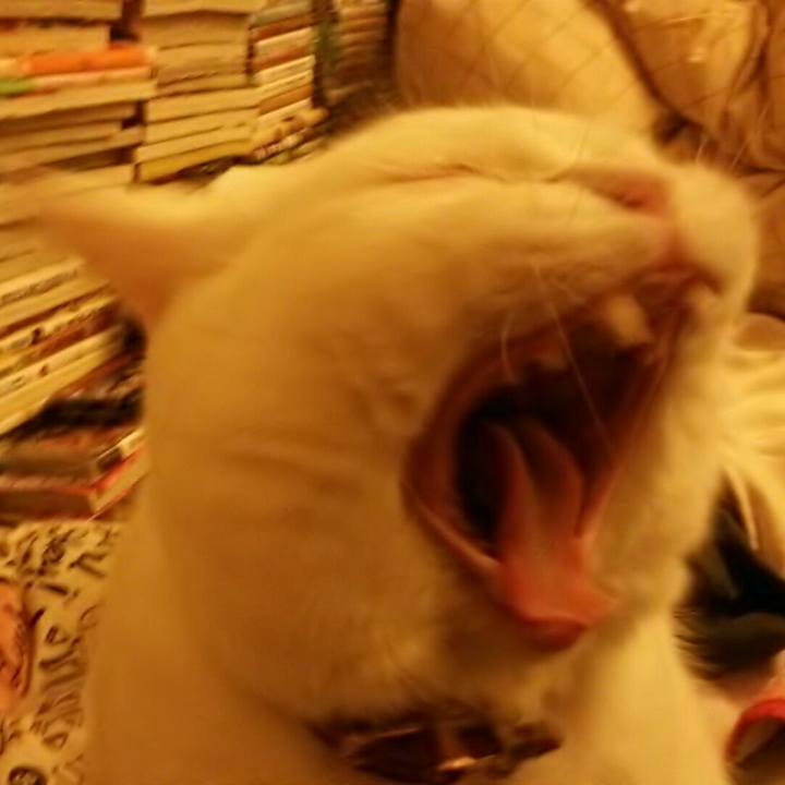 Ef674527 f486 463b bb34 3d2d3c002608