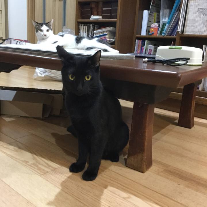 Ef6755e1 99b6 4026 a8d8 4bd9ad7227f7