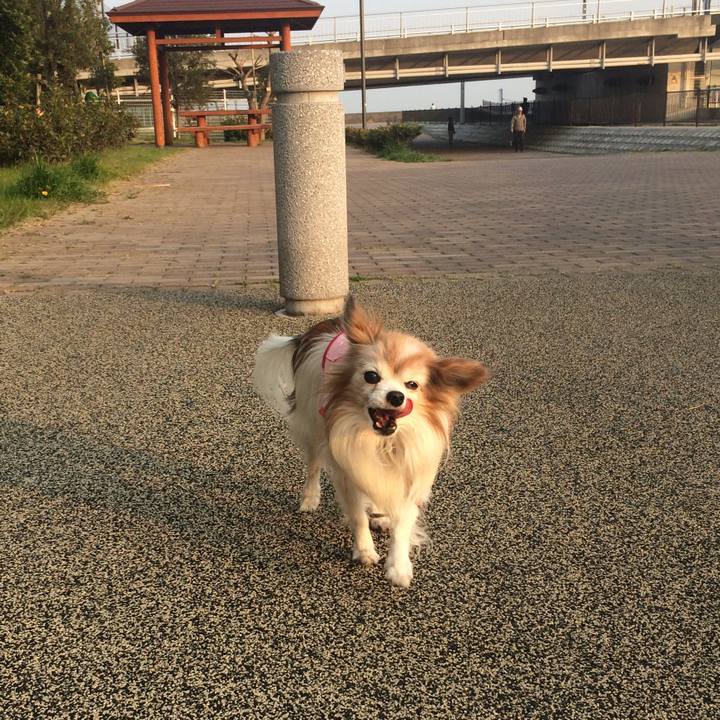 Ef67ff17 b281 4b98 ac5c 1f70961c3612