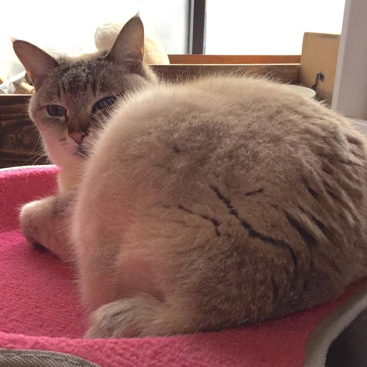 Ef680922 cf65 4c33 b767 c407e61612e7