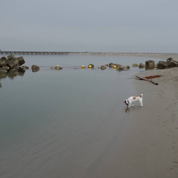 Ef6832ef 6e99 41a1 8b80 4154dc175ab6