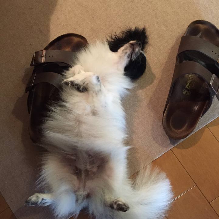 Ef684354 ac24 4f60 b077 4f73bae46f33