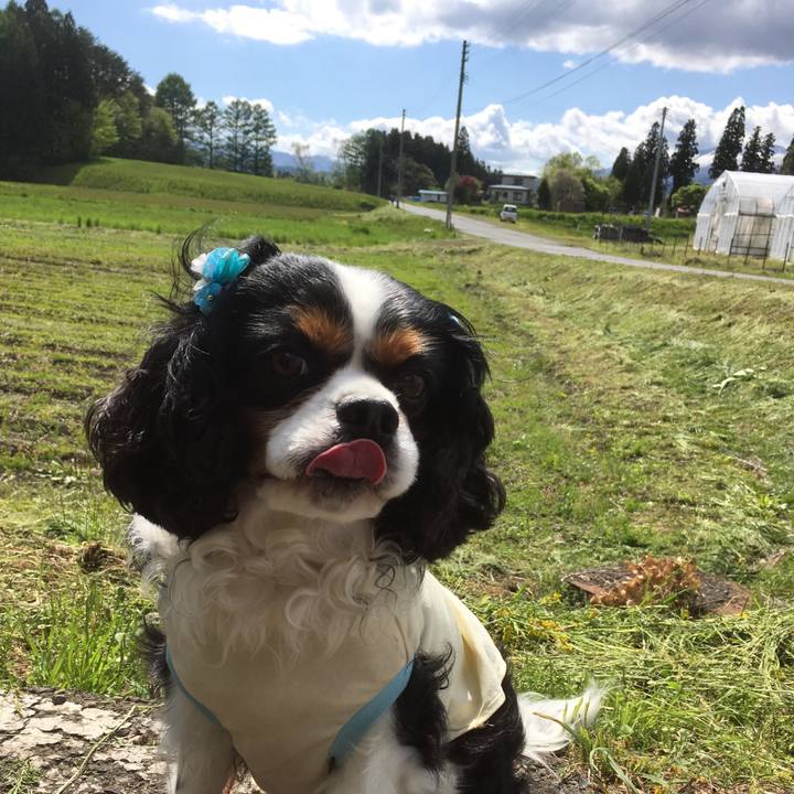 Ef68702d b4a5 4e8d affd e6f584dd0749